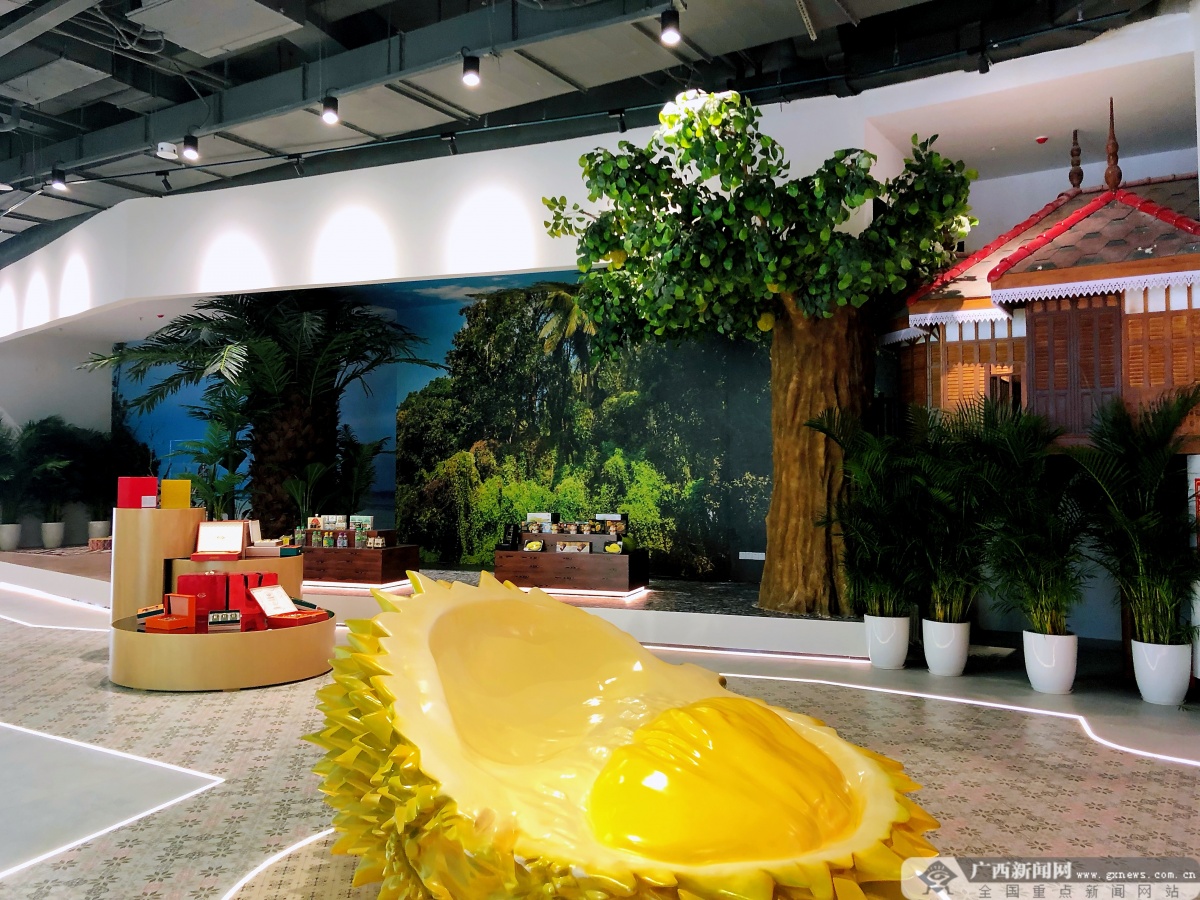 实拍中国东盟博览会,中国东盟商品