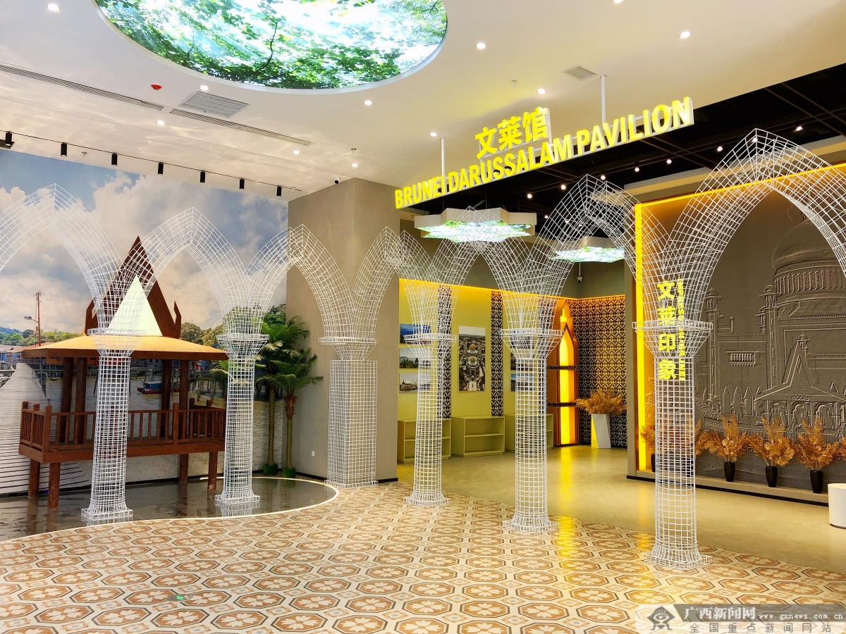 实拍中国东盟博览会,中国东盟商品