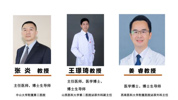 rigiscan报告解读,rigiscan北京