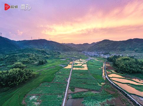 寿宁县大安乡银山花田,寿宁亭溪银山花田景区