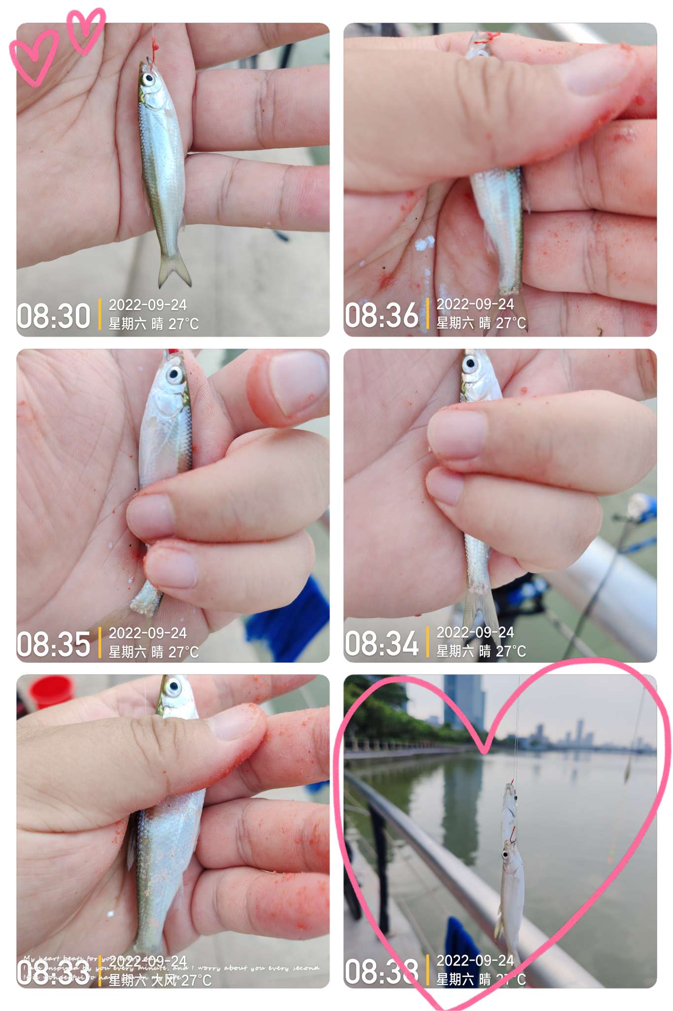 新线组,新型台钓线组