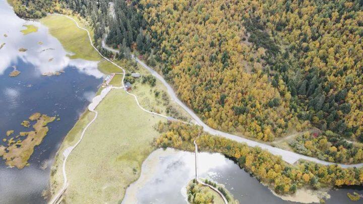 昆明最美的秋天,别眨眼带你看花海