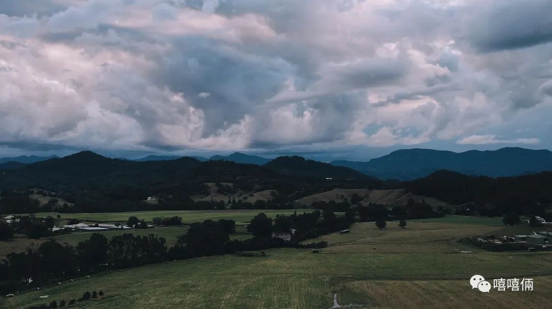 在澳洲摘葡萄的女孩,22岁女生澳洲打工度假