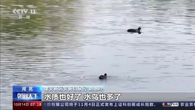 每个时代都有属于时代的机遇,这个时代给了我们什么样的机遇