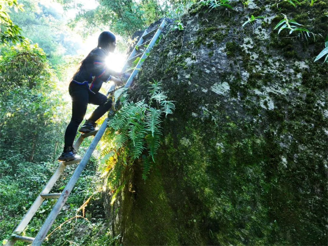 奋进新征程建功新时代“西盟姐妹”返乡创业用青春追梦圆梦