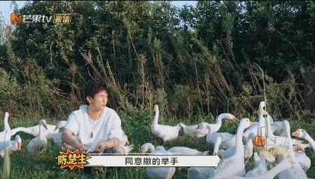 人变得越来越黄是怎么回事,为什么人的精神面貌会变