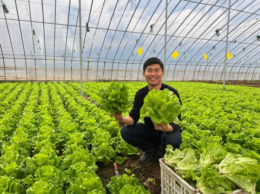 z世代创业,z世代创业机会