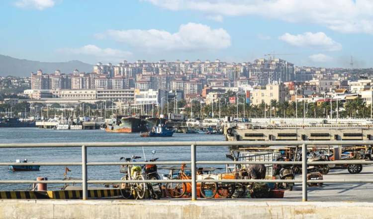 真正中国品牌鞋子,怎么找真正的莆田鞋