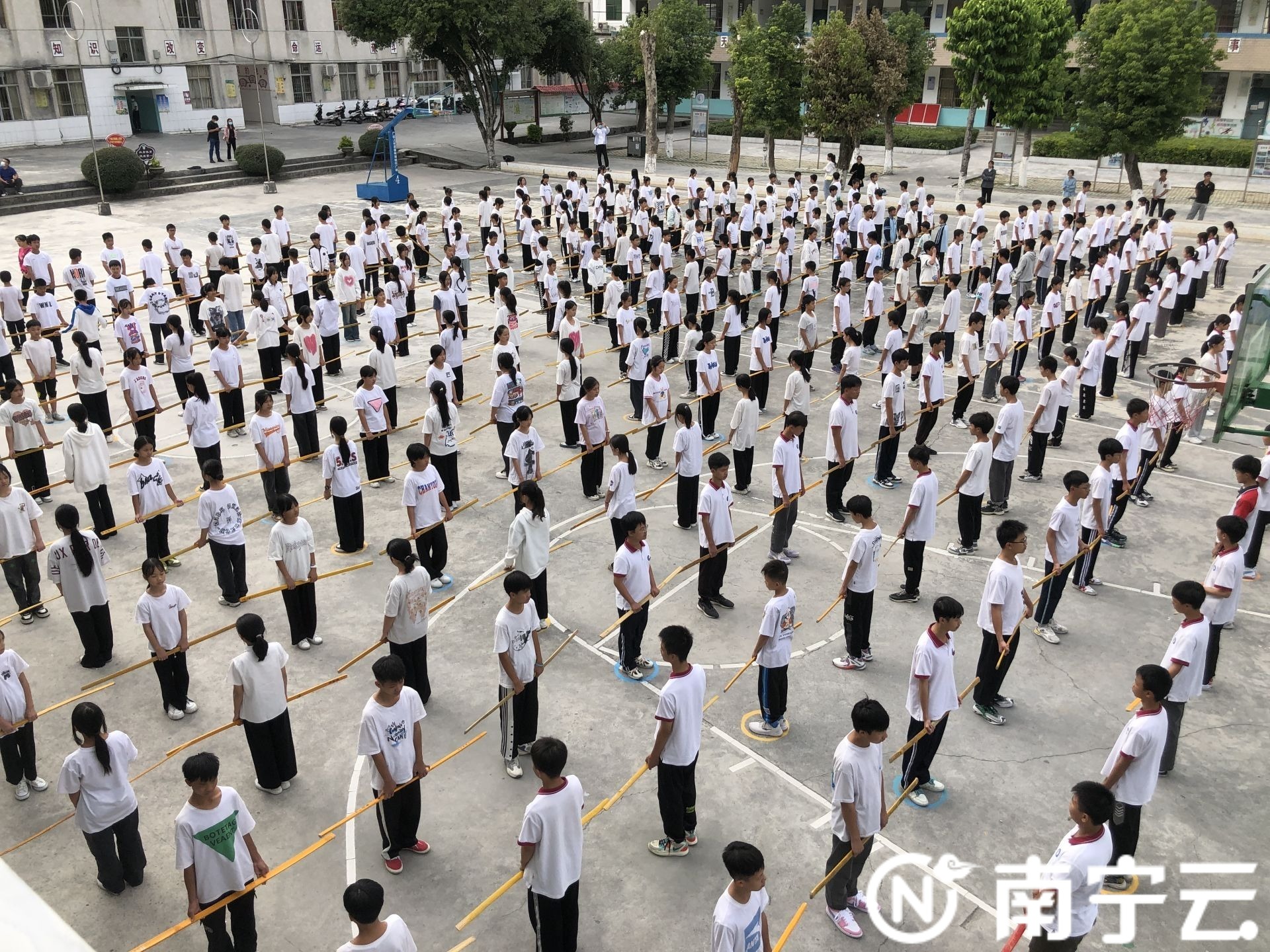 马山文化三宝是哪些,马山县文化三宝是什么