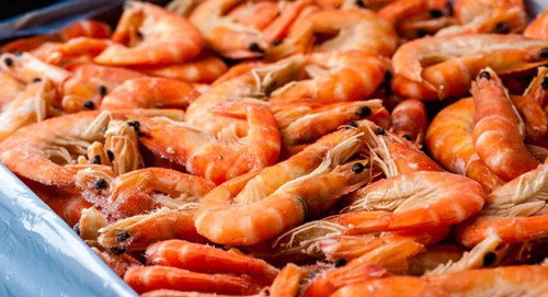 进口虾市场前景怎么样,进口虾行情走势