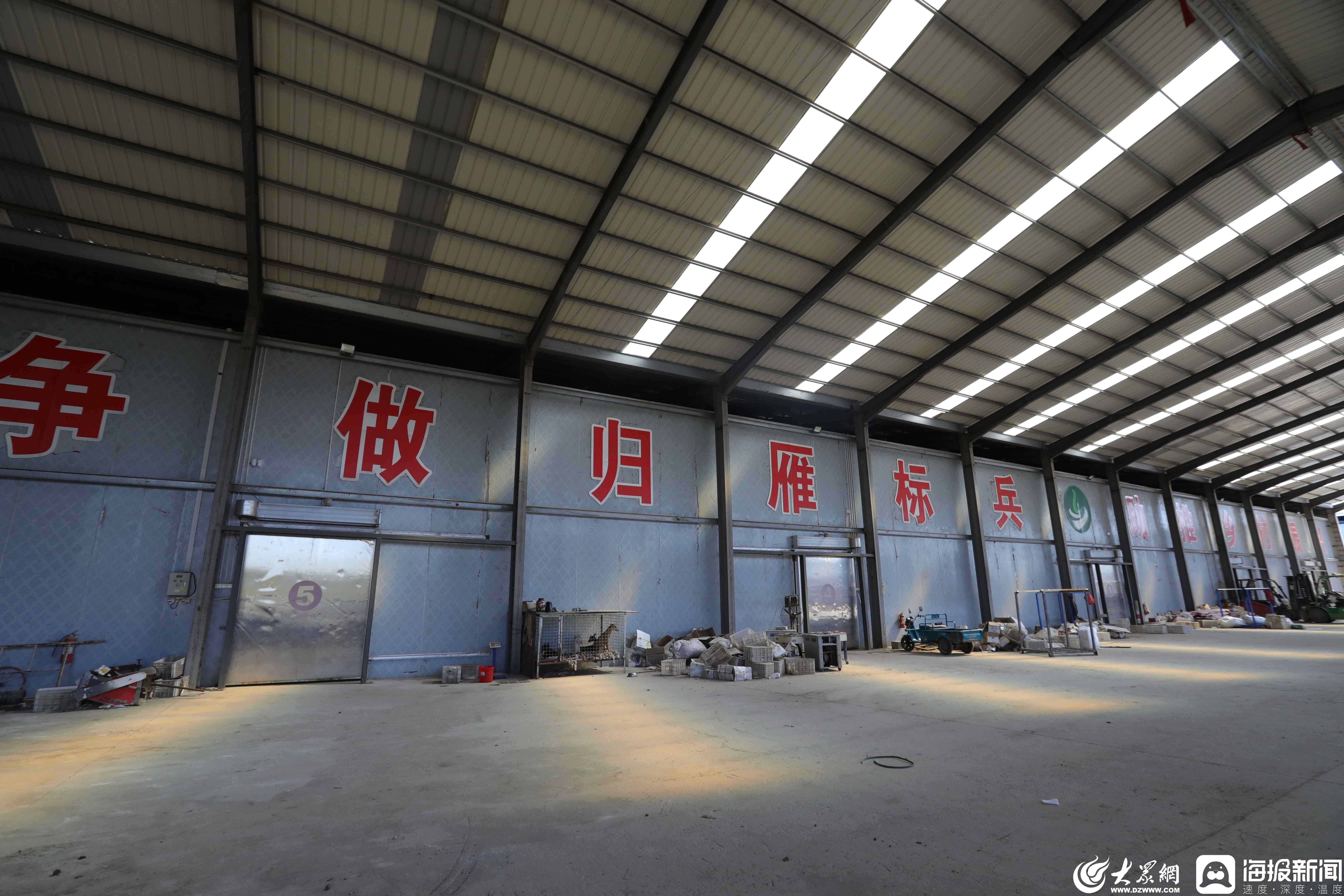 风补基金活水浇灌兰陵县让土豆成为“金蛋蛋”