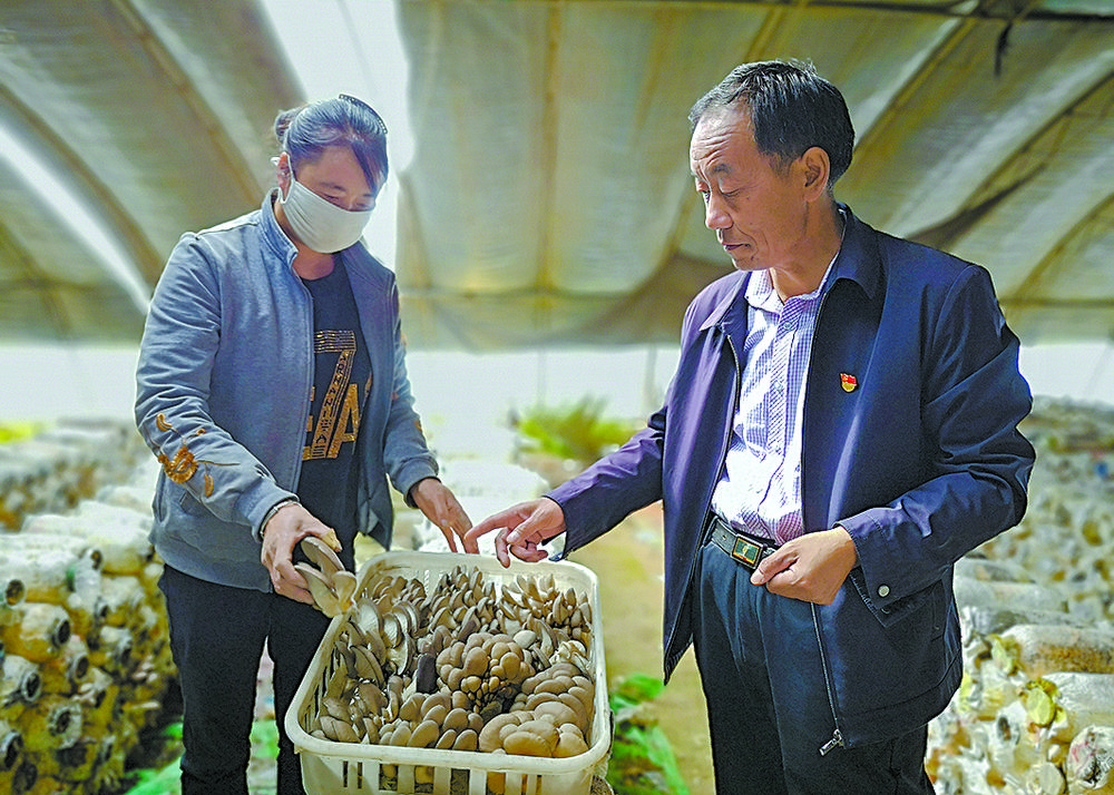 为父老乡亲明天的幸福吹响冲锋号,和家乡父老乡亲共享美好时光