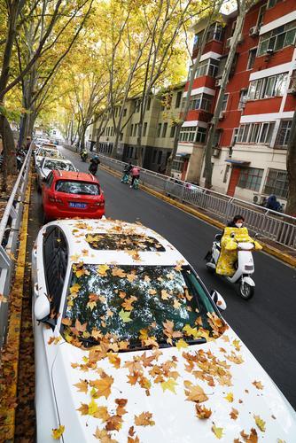 郑州雨中的浪漫,秋天郑州夜晚街头