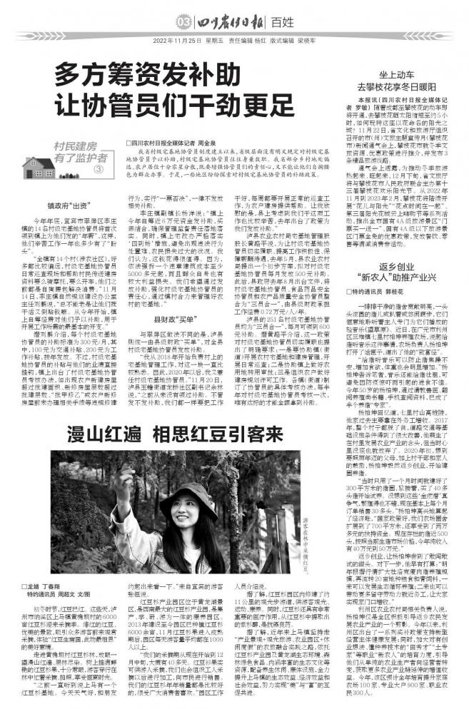 返乡创业乡村与新农人的双向奔赴,新农人返乡创业失败案例