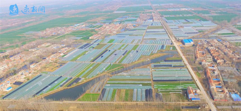 探索致富产业描绘乡村振兴新图景,以特色产业发展引领乡村全面振兴