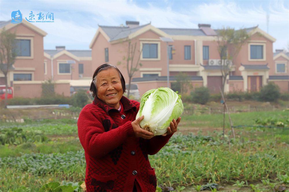 新时代新征程新成就,新时代新征程新伟业新出彩