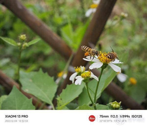 小米13从发布到现在的体验感受,小米13标准版上手体验