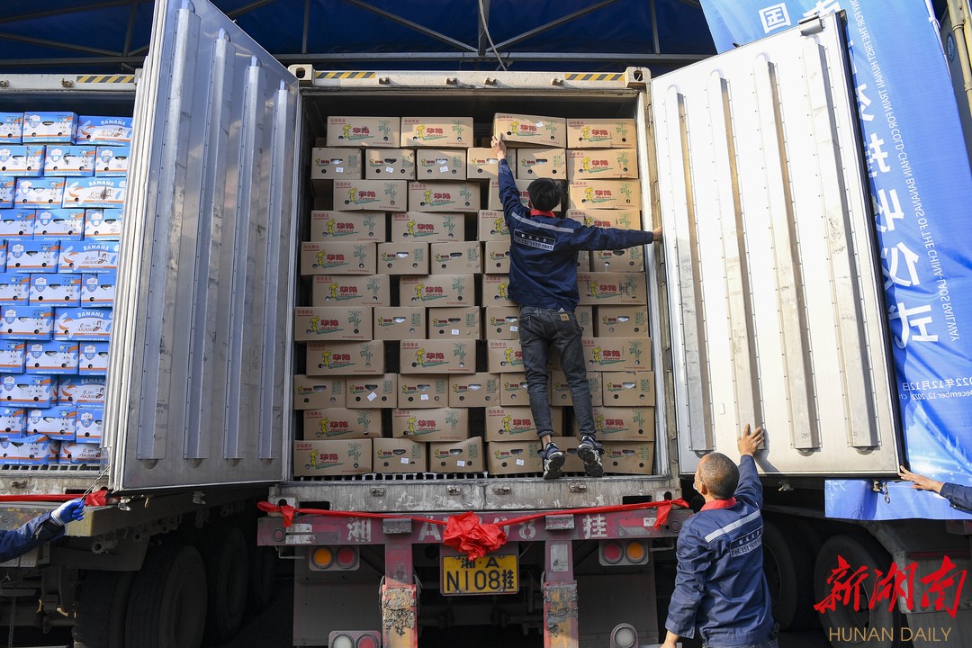 500多吨香蕉,运送500斤香蕉