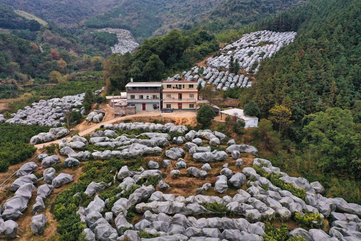 大美中国最美广西,大美中国之广西北部湾