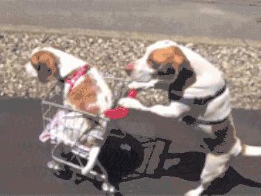 杉杉奥特莱斯十大品牌,杉杉奥特莱斯北面5折