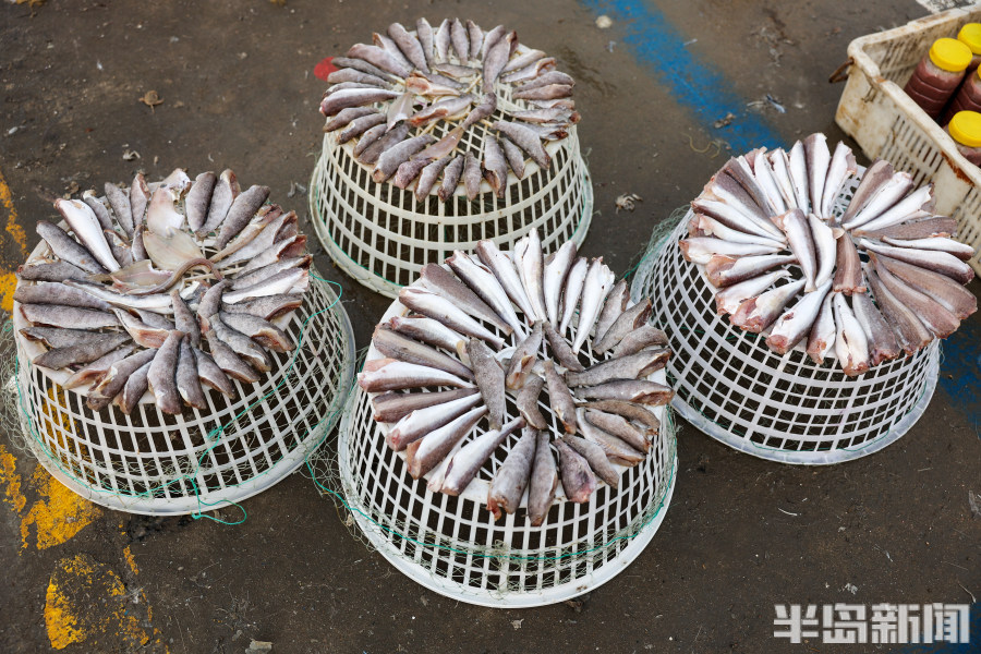 渔船海鲜市场青岛,海鲜市场渔船