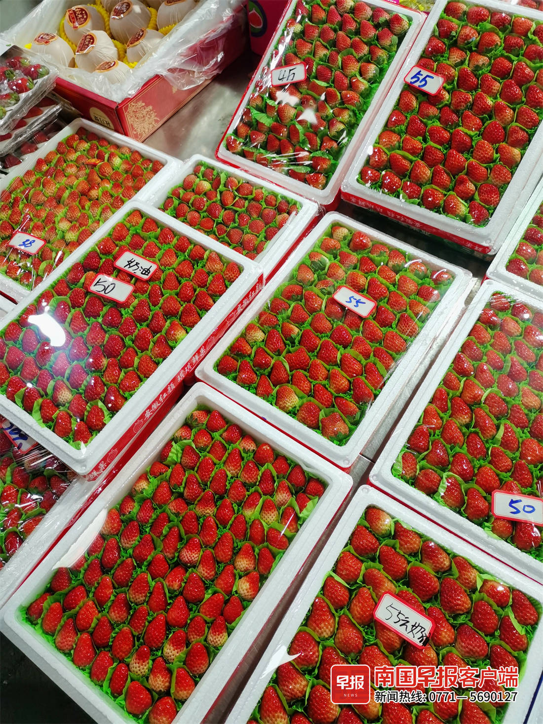 南宁2023水果价格最新行情,南宁现在水果的价格