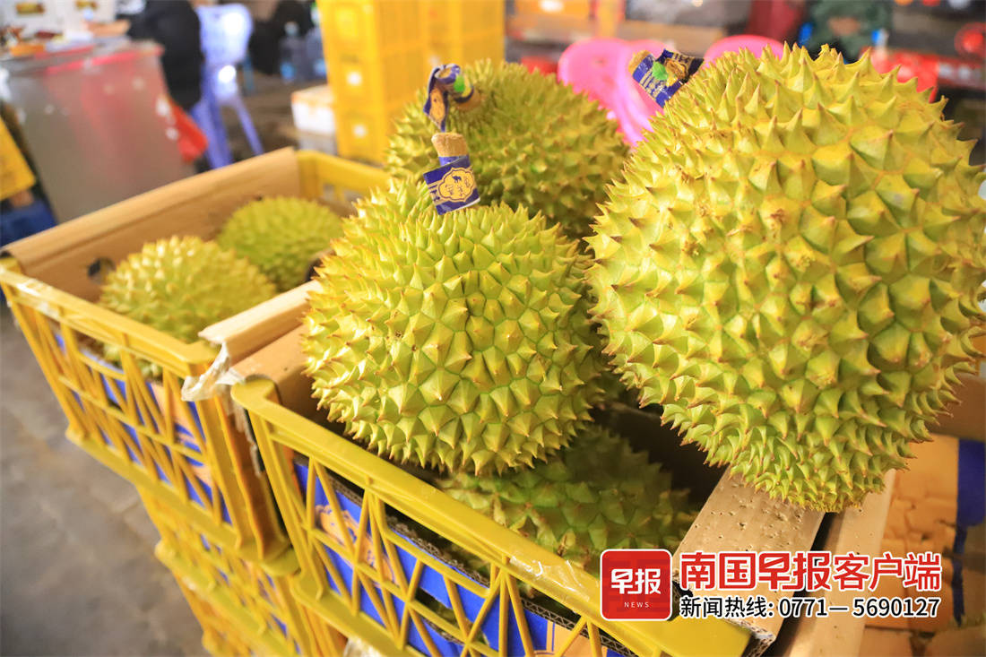 南宁2023水果价格最新行情,南宁现在水果的价格