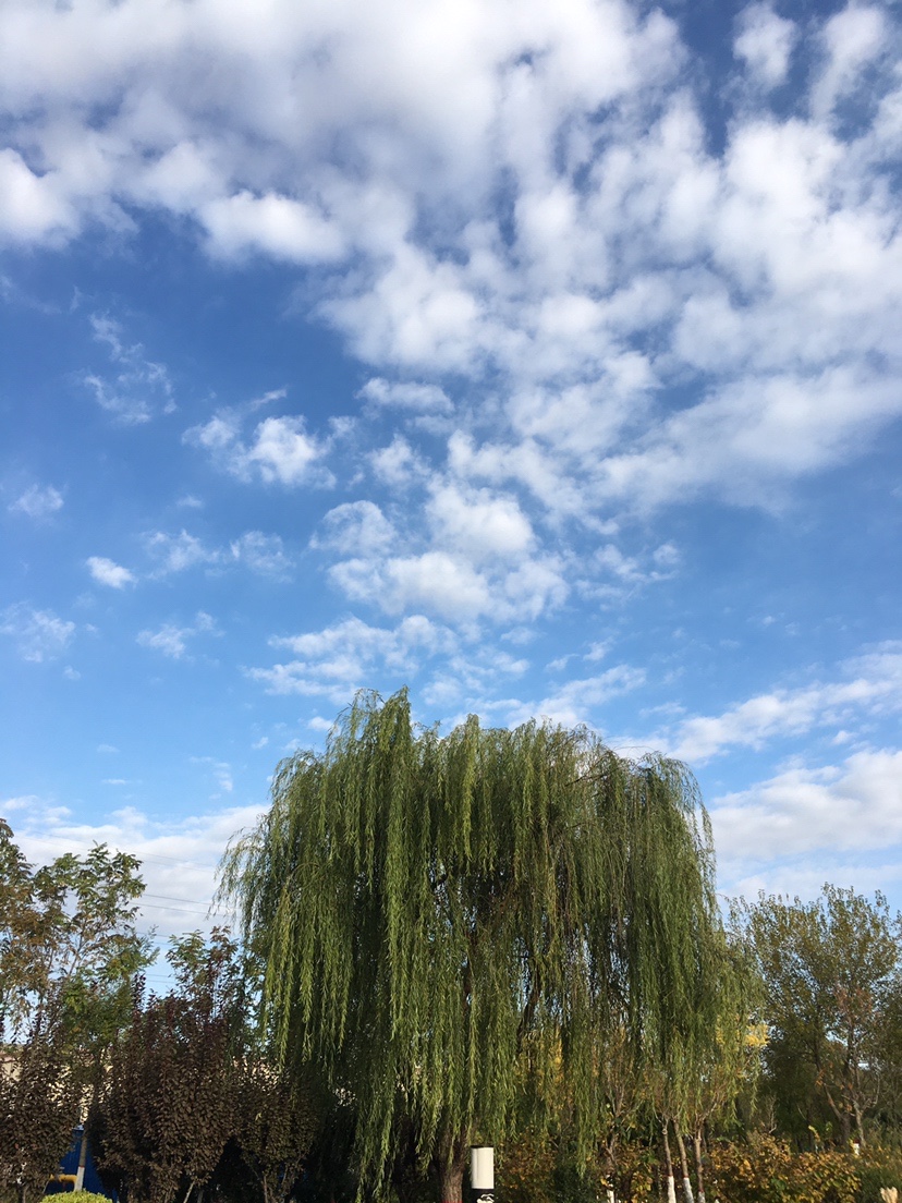 新手必学全套主线绑法,新手大礼包链接