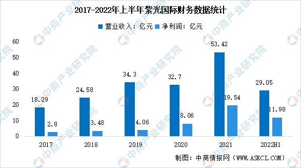 2023中国半导体市场分析,2023年半导体芯片行业发展