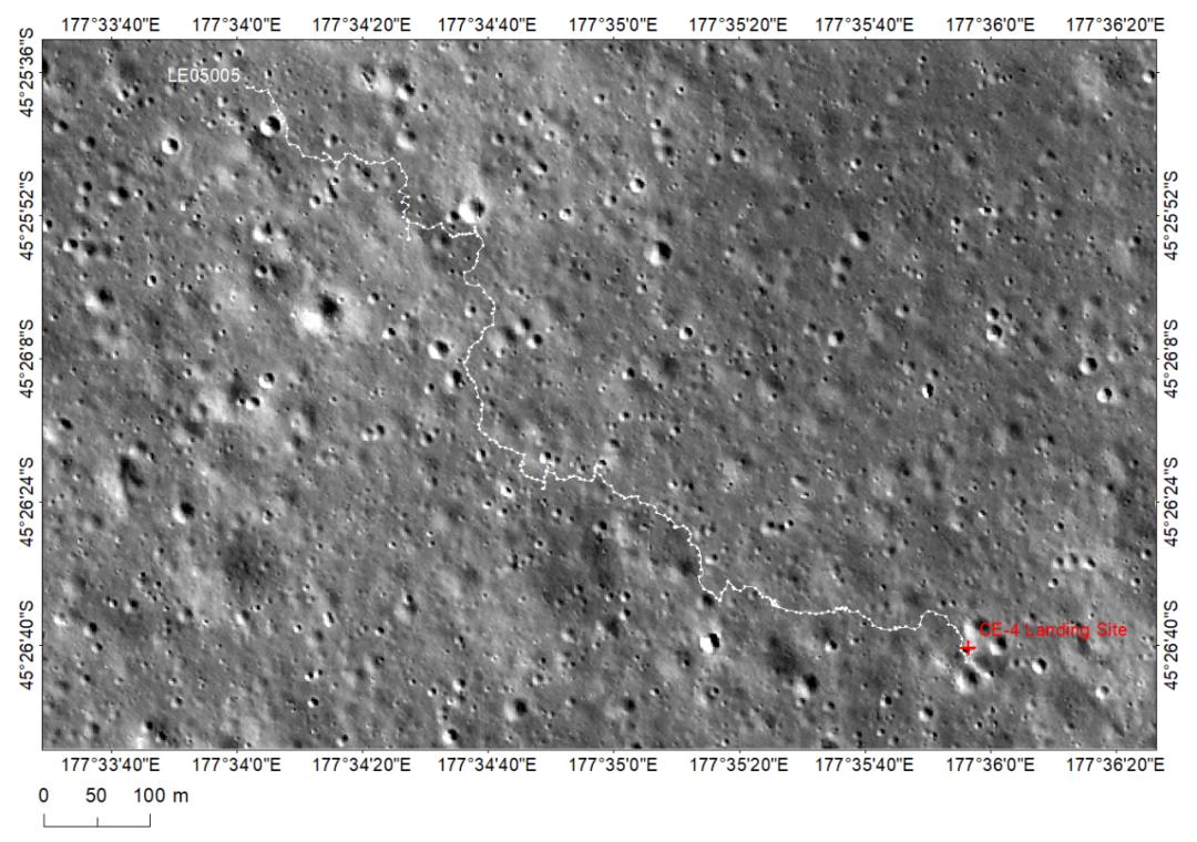兔年有什么兔子,兔年遇见野兔预兆