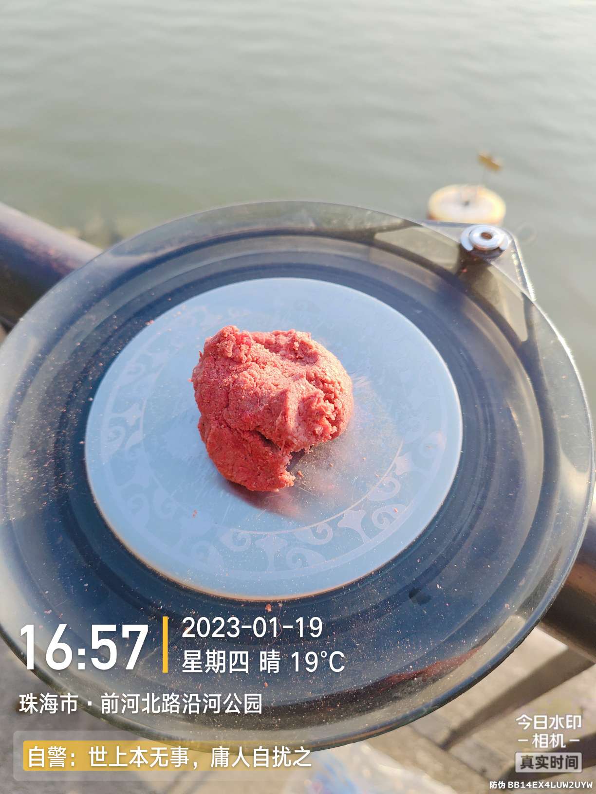 再回昔日热门钓位，铩羽而归，幸有鳊鱼数尾，颜面方得以保留