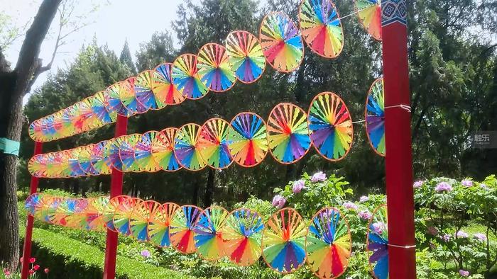 触乐问触乐·兔年篇