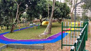 深圳可以带宠物拍照好看的公园,深圳宠物公园有哪些名字