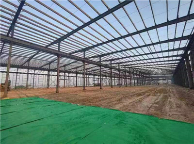 德州禹城市安仁镇蝶变宜业新城镇,禹城安仁产业园