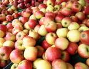 期货多头交割千万斤苹果现货？本人回应：实为300万斤，对手方系敦和