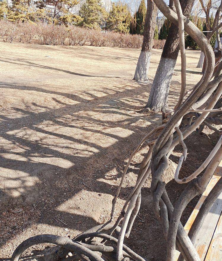 东北河流开冻,七九河会冻开吗