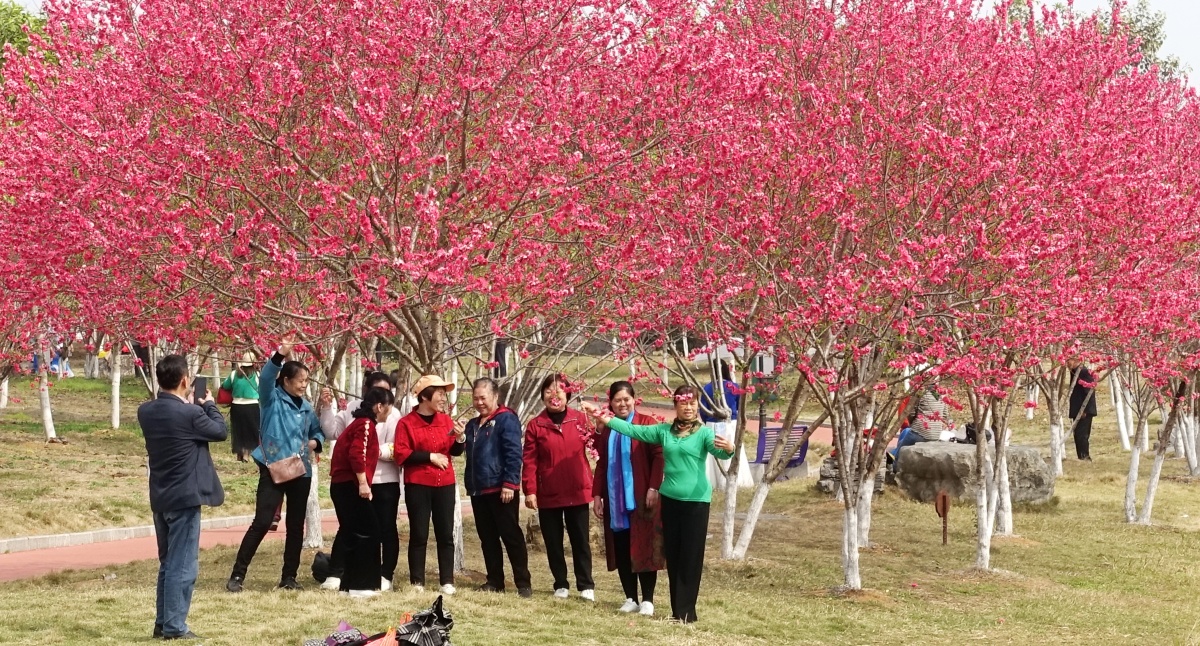 大美中国广西篇全部,大美中国广西全集