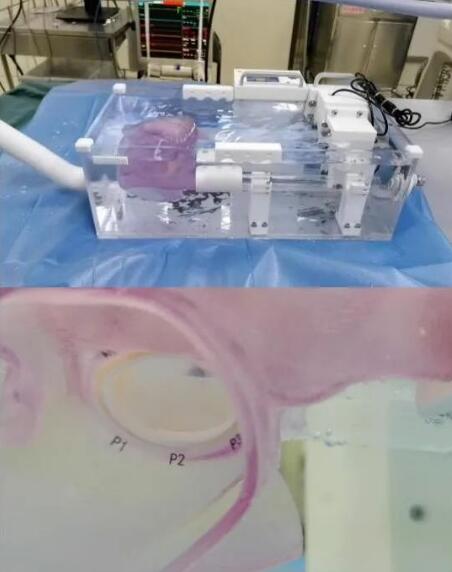 中国运动鞋设计图,鞋类设计大赛效果图