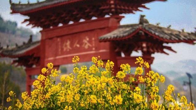 郑州最全的春季赏花地图来啦,郑州最全春季赏花地图