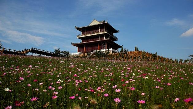 郑州最全的春季赏花地图来啦,郑州最全春季赏花地图