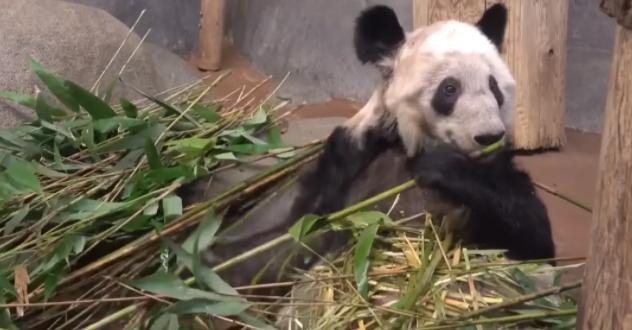 临时哭泣点,贵州一公司内设立临时哭泣站点