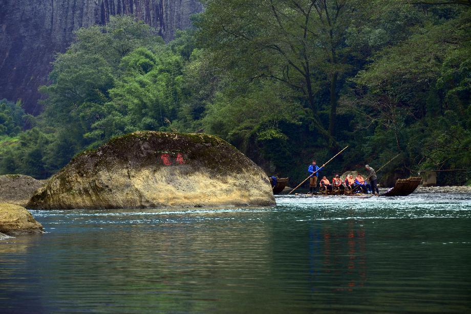 品味武夷山茶文化的理想之地,武夷茶文化历史简介