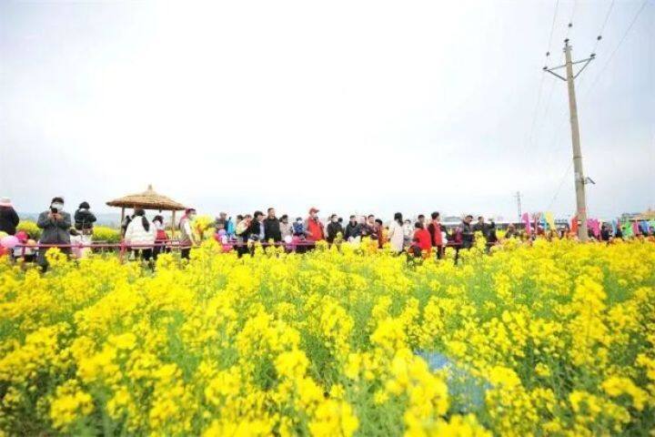 去云南旅游淡季价格,云南旅游团淡季