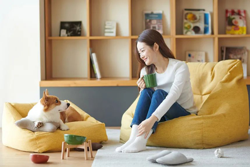 muji新品宠物,muji宠物居家服