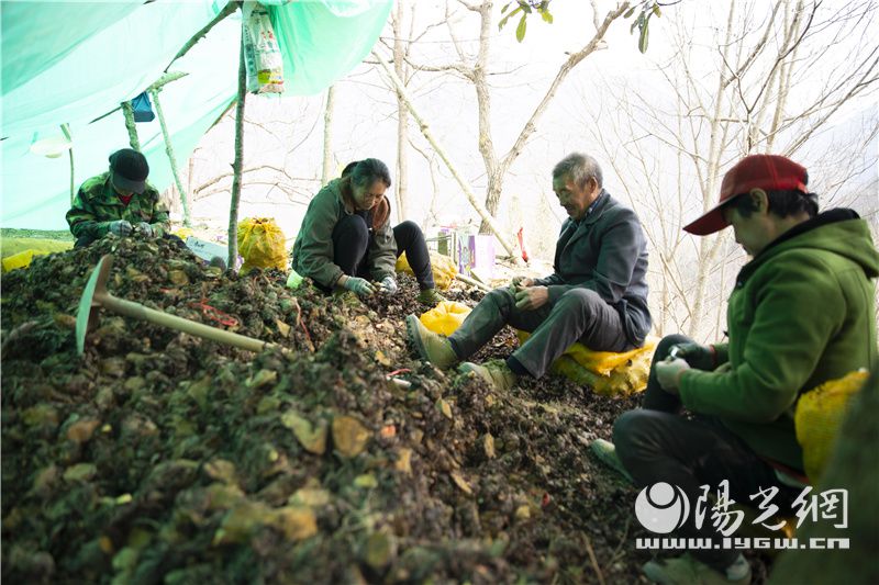 陕西镇坪联盟村,镇坪县联合村家庭种植农场