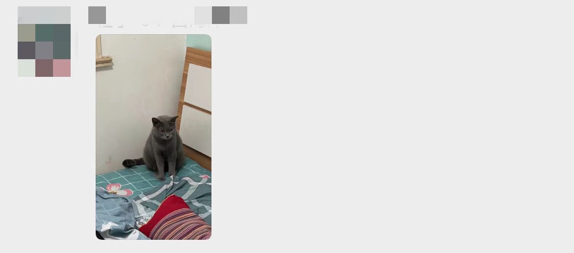 在春天相遇青岛新闻网【一见倾心】相亲群也太宝藏了！