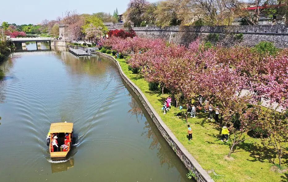 荆州赏樱,中国十大赏樱胜地最值得去的
