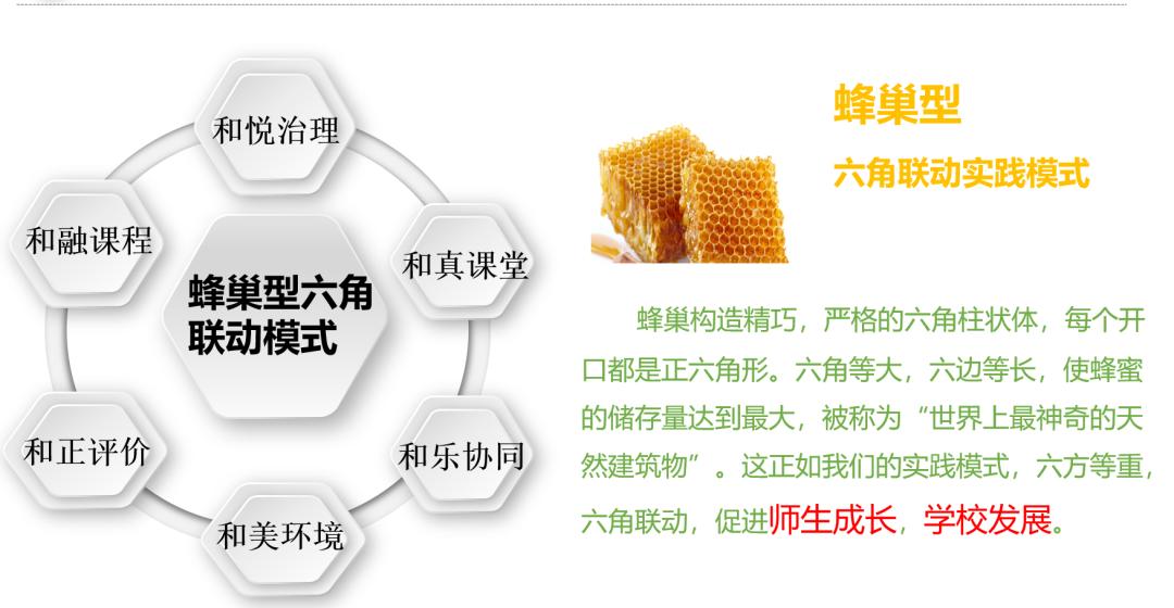 赞！华侨小学被认定为省级“义务教育教改基地校”！