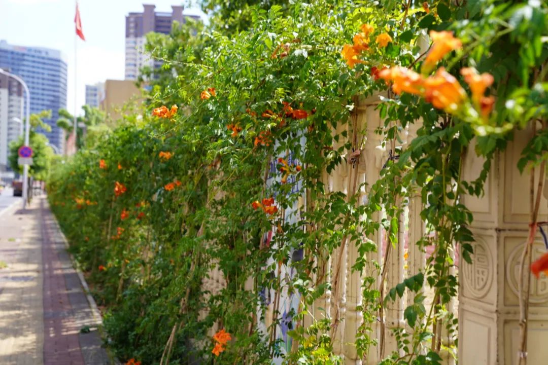 宁乡创文明城市,宁乡市创建文明城市