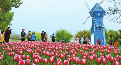 春风十里吹暖“美丽经济”